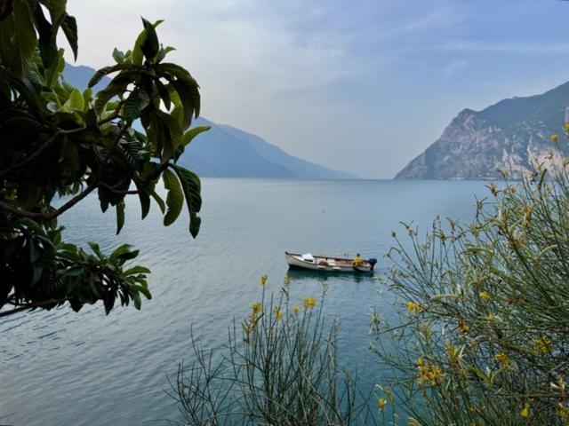 Alloggio Turistico Molu Lägenhet Gavazzo Nuova Exteriör bild
